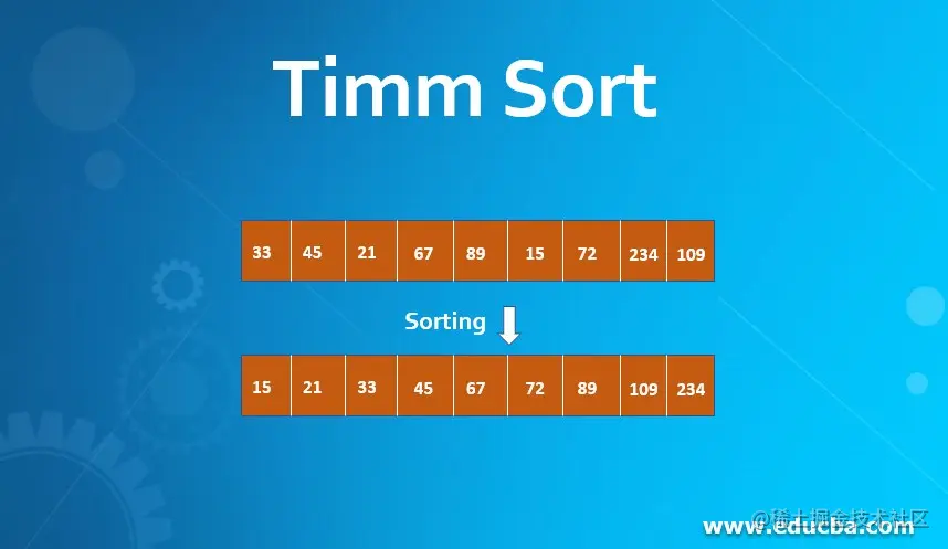 Timm Sort