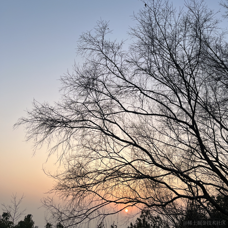 苏州第一深情于2024-01-17 10:09发布的图片