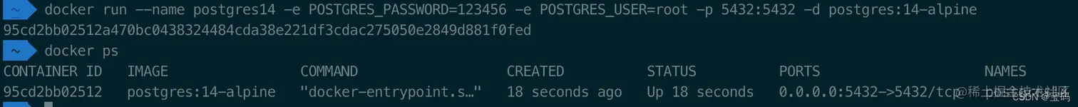运行postgres容器
