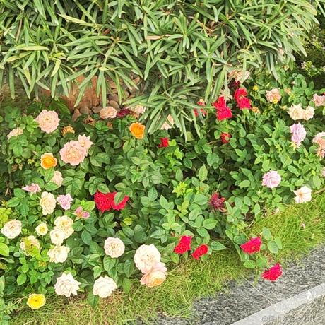 外包小前端于2022-11-17 15:09发布的图片