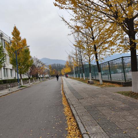 netfix于2022-11-27 10:44发布的图片