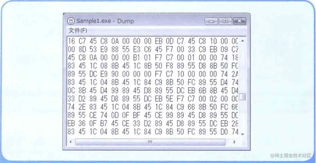 本地代码Dump之后的样子