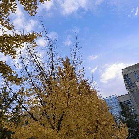 大脑袋瓜子于2022-11-13 20:52发布的图片