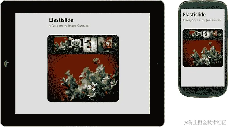 示例 4 – 图像画廊中可见的最少四幅图像