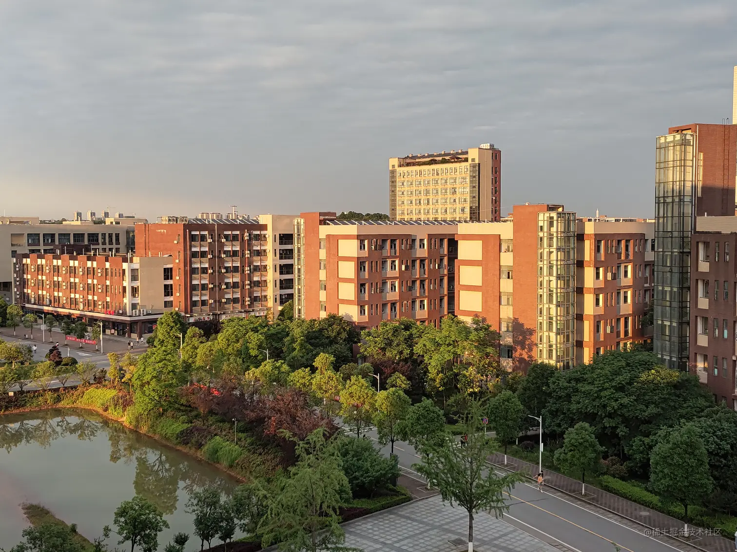 P10604-185628.jpg