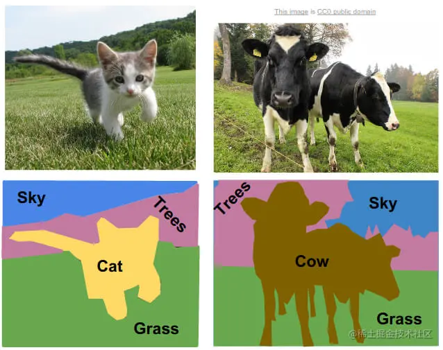 semantic segmentation vs instance segmentation