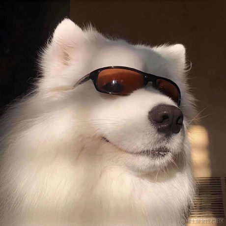 万变的动感超人于2022-11-13 19:35发布的图片