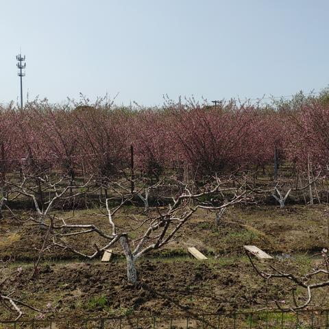 getify于2023-03-18 12:54发布的图片