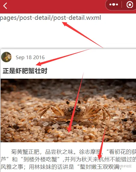 image-20210827115153119