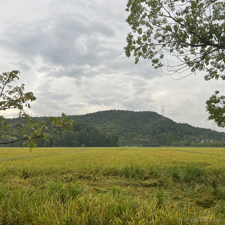 用户1870806136253于2023-08-10 10:14发布的图片