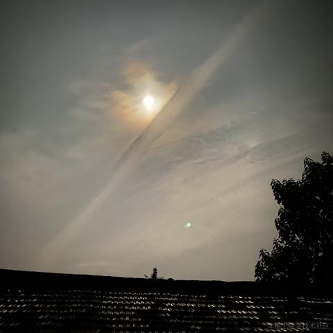 yusiji于2020-10-01 06:26发布的图片