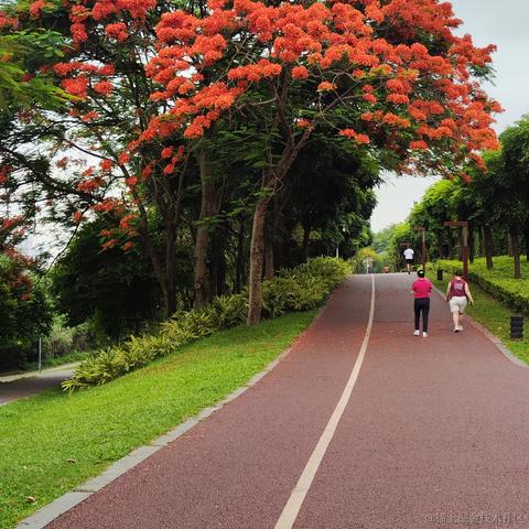 媛媛啊9813于2024-05-18 12:02发布的图片