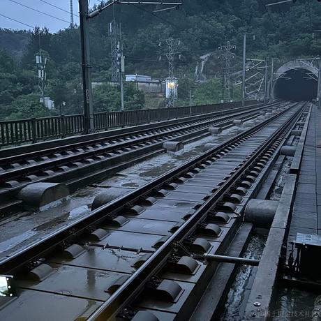 贝拉多嘉然芬奇于2023-06-23 09:40发布的图片