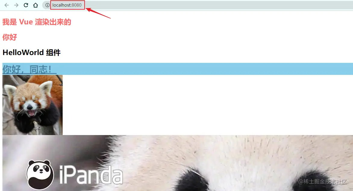 image-20211126215538266