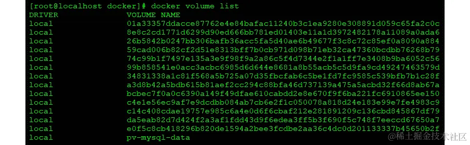 图 2.6 - docker 卷列表输出
