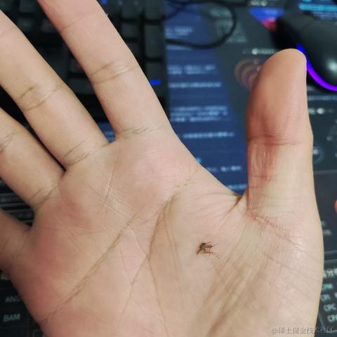 优秀稳妥的金枪小魔王于2023-06-06 09:34发布的图片