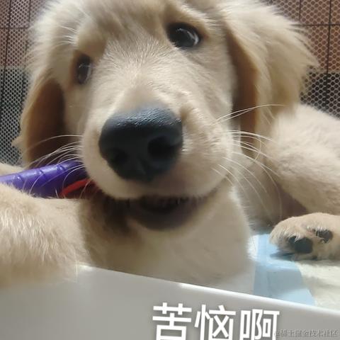 LGX_TvT于2023-01-13 12:27发布的图片