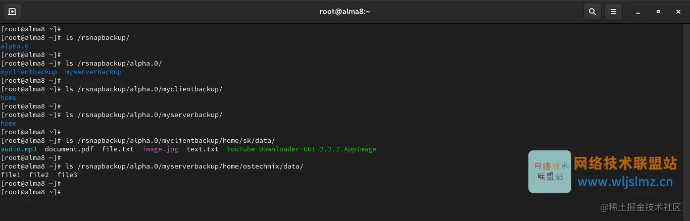 查看 Rsnapshot 备份