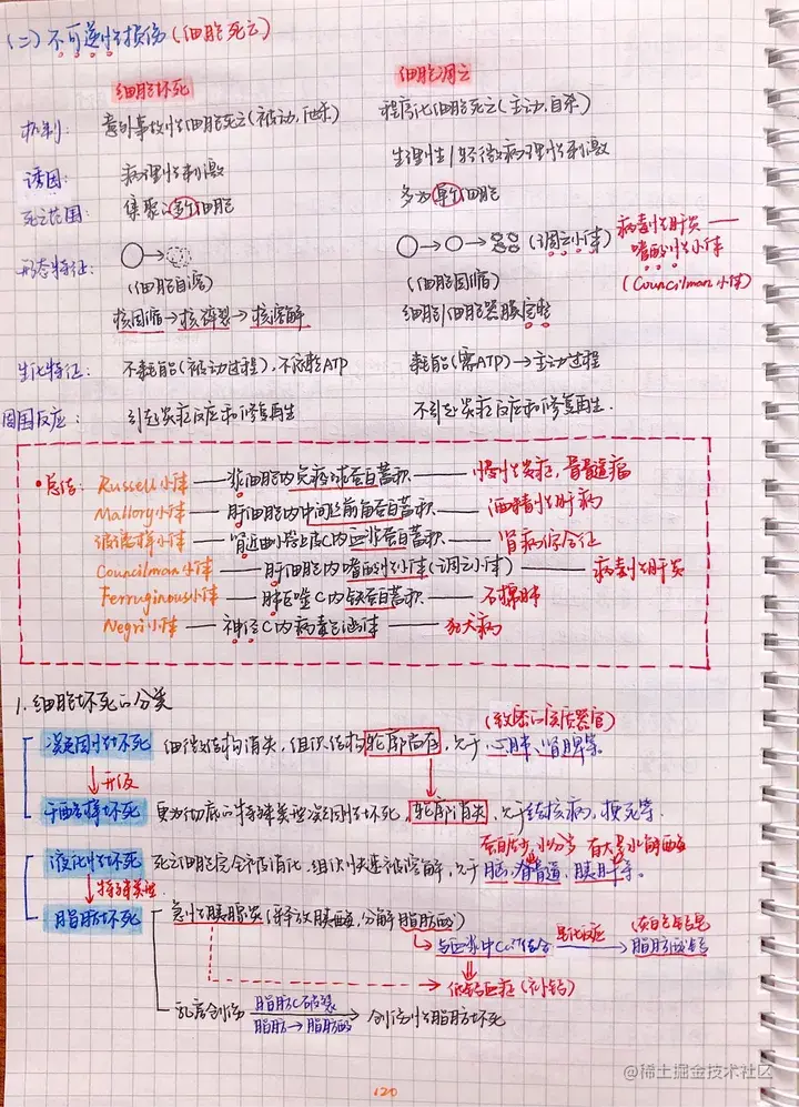 病理手写笔记.pdf