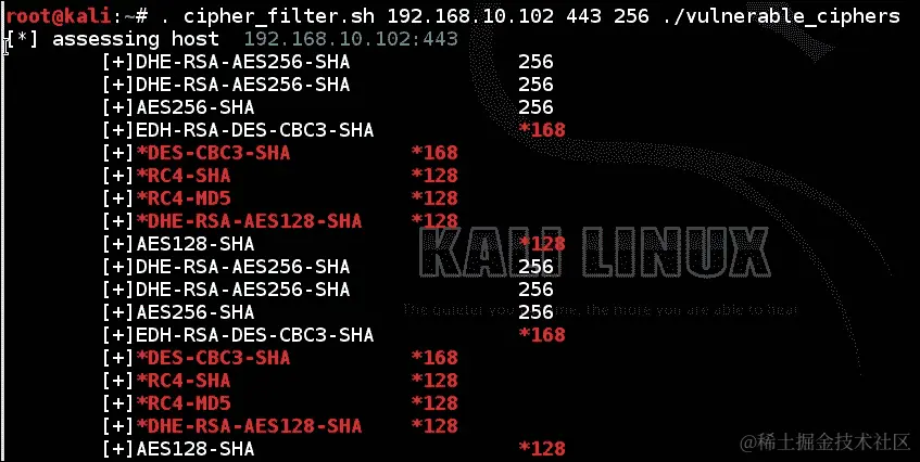 Bash 黑客和 SSLyze