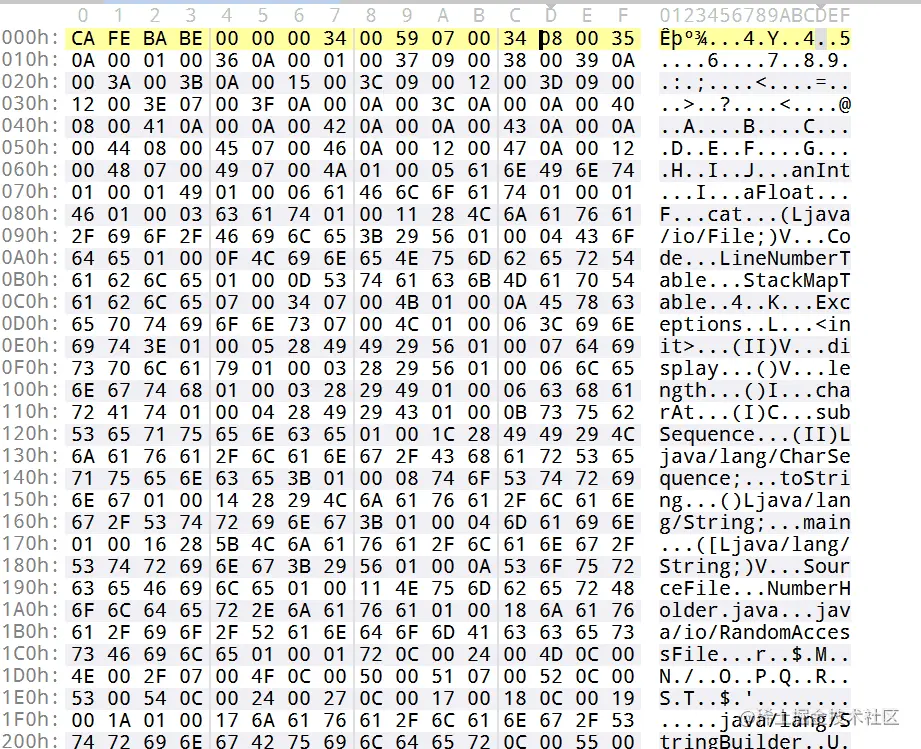 class文件十六进制代码