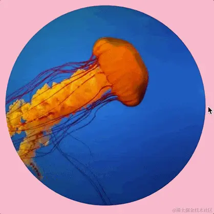 Animated gif shoeing a cursor hovering the right edge of a circular image. The right side of the image caves in toward the center of the shape on hover, and returns when the cursor leaves the shape.