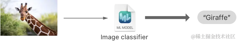 显示图像分类器如何从长颈鹿图像中预测标签 Giraffe 的流程图。