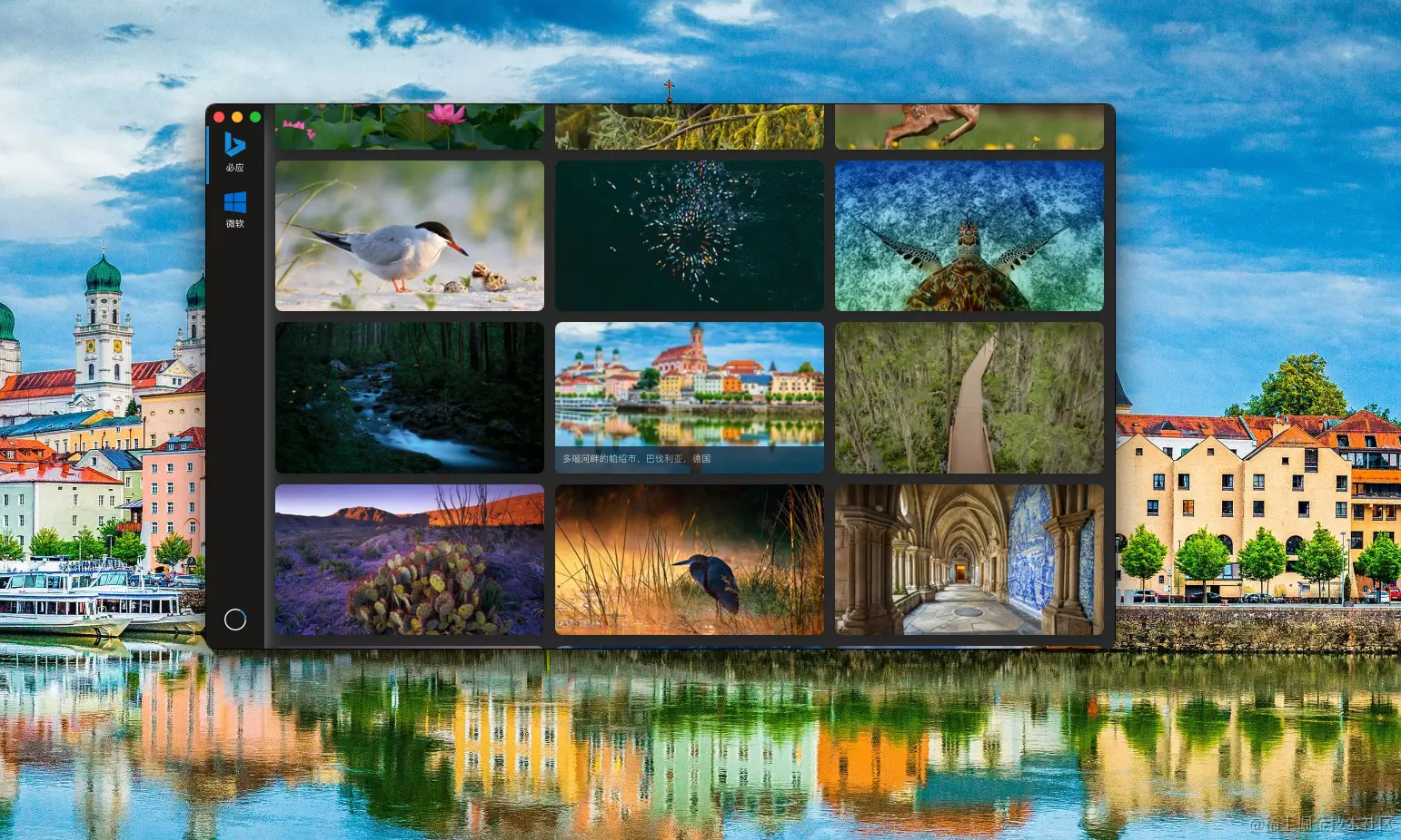 截屏2023-11-24 19.23.54.png