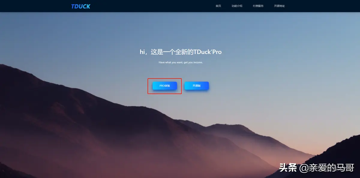开源软件 | 国产Java开源表单系统TDUCK