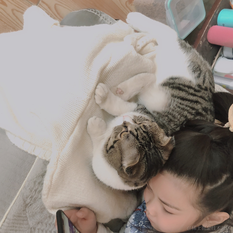 Daenery于2021-11-26 10:30发布的图片