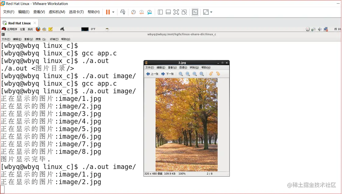 image-20211210104224128