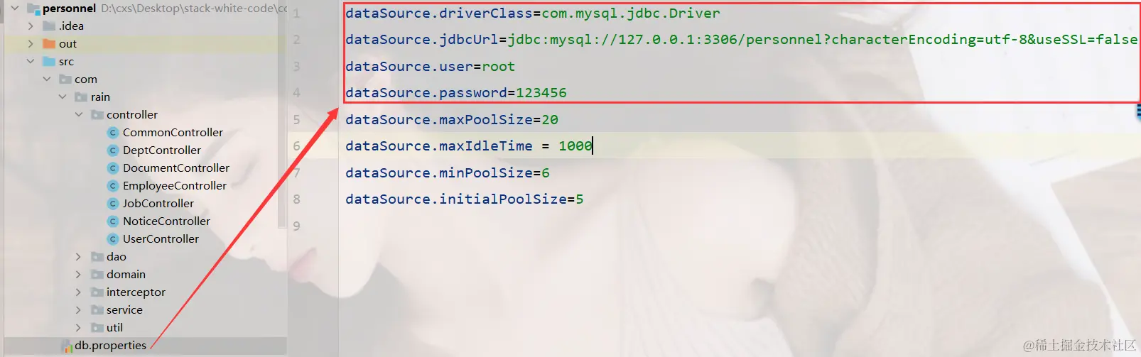 image-20240221201917858