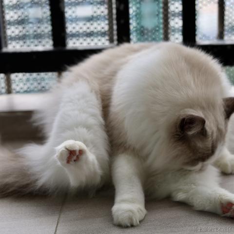 Charlotte于2021-12-23 15:51发布的图片