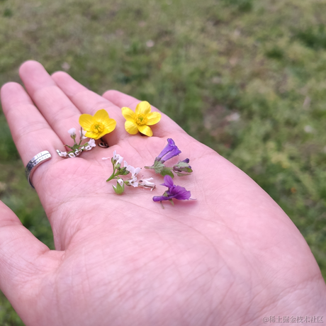 你说这是为什么于2023-06-04 23:12发布的图片