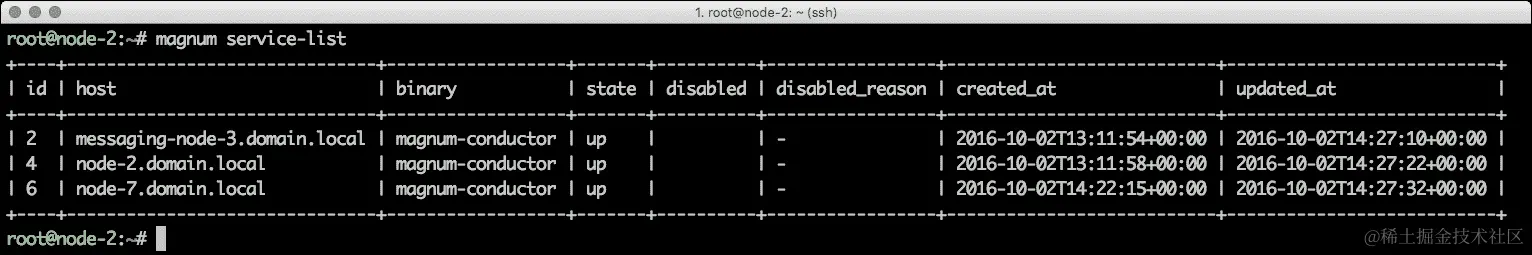 配置 HA Magnum 安装