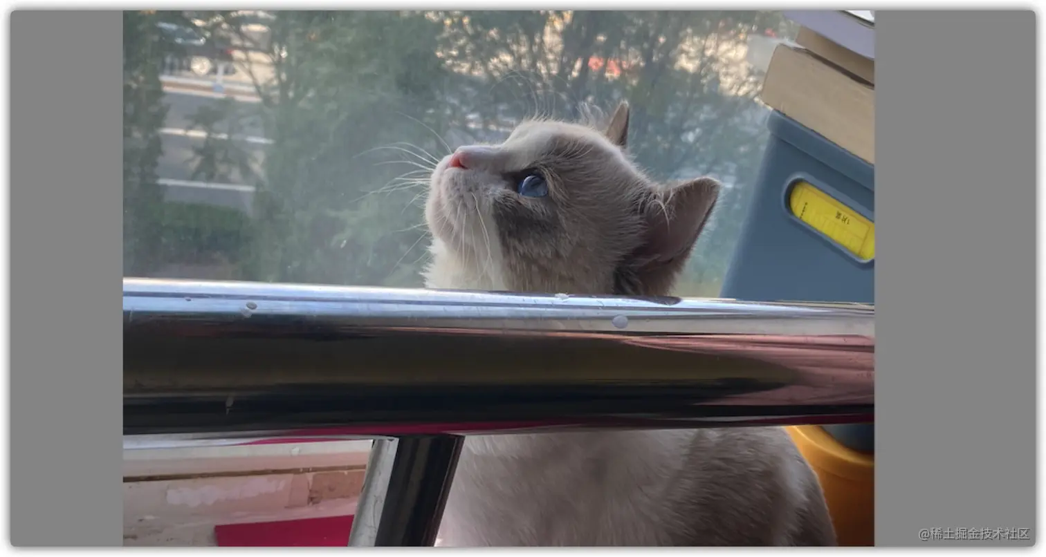 image-20210815173402962