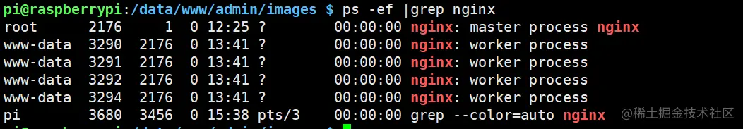 树莓派内网穿透建站与维护，使用内网穿透无需服务器