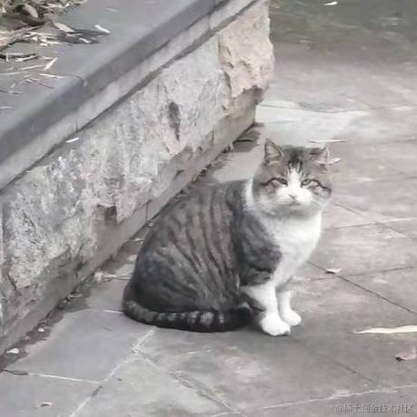 吨吨吨喝水于2021-10-29 20:20发布的图片