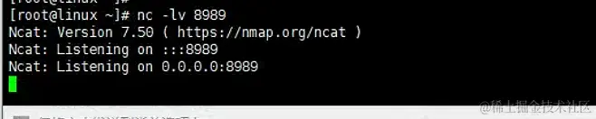 image-20240411015743020