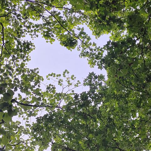 用户681288150871于2023-04-15 00:18发布的图片