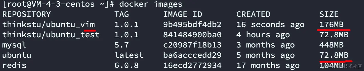 image-20220324201118690