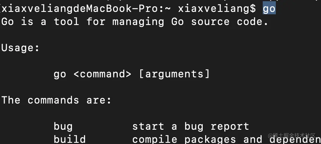 验证go安装情况