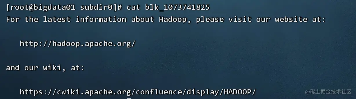 image-20220904224421493