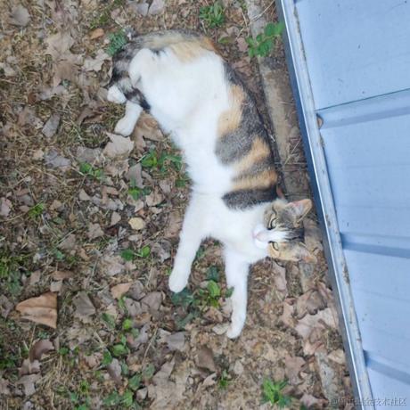 mayyyyyyyy于2022-11-19 20:44发布的图片