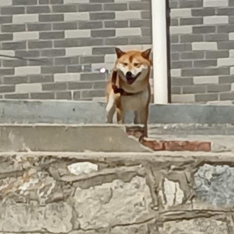 icetm_jim于2023-06-03 10:21发布的图片