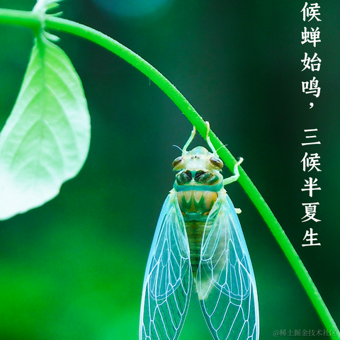 练腹肌的小蚊子于2023-06-21 20:46发布的图片