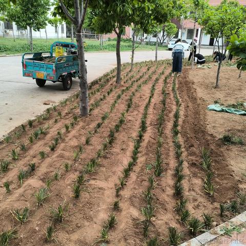 vincookies于2023-04-15 22:19发布的图片