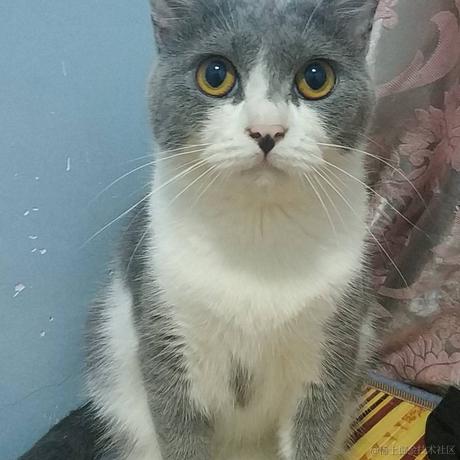 蜜汁自信于2021-10-27 18:34发布的图片