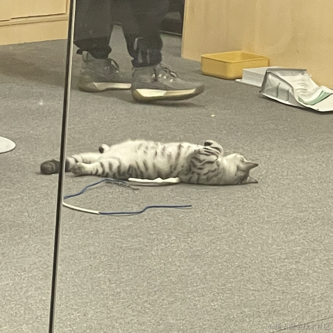 晚比大魔王于2022-11-23 10:30发布的图片