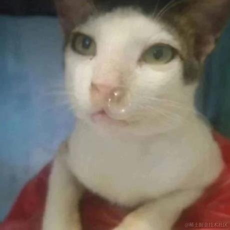 新世纪玉玉战士于2022-12-02 09:23发布的图片